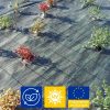 Toile hors sol - paillage <br> Verte 100 g/m² / 1.05 x 100 m <br> FABRICATION EUROPÉENNE – Image 4